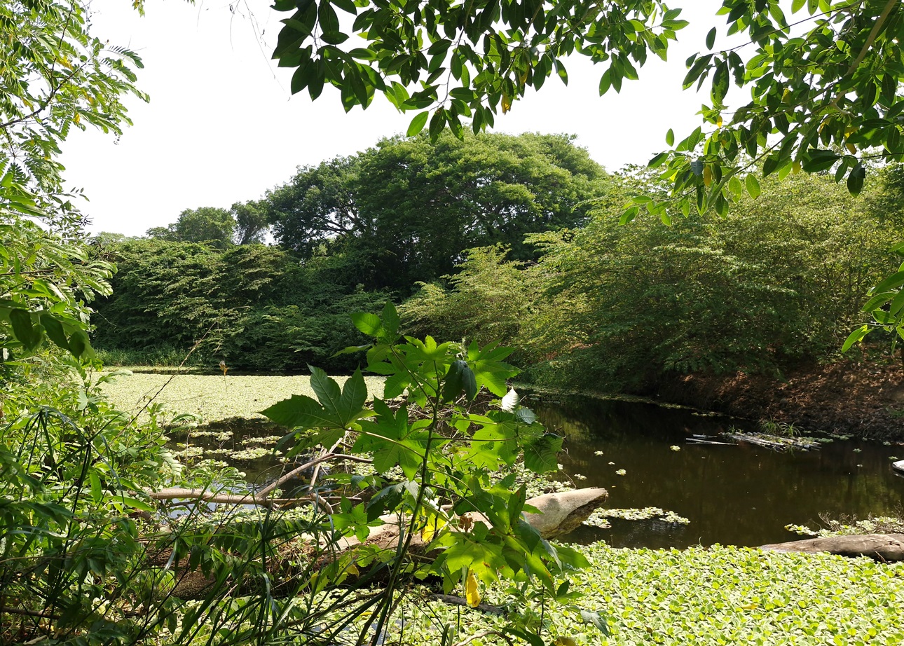 Parque Nacional Ricardo Flores Magón